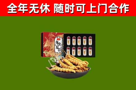 长沙回收冬虫夏草价格