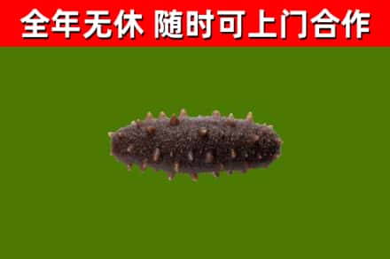 长沙烟酒回收干海参.jpg